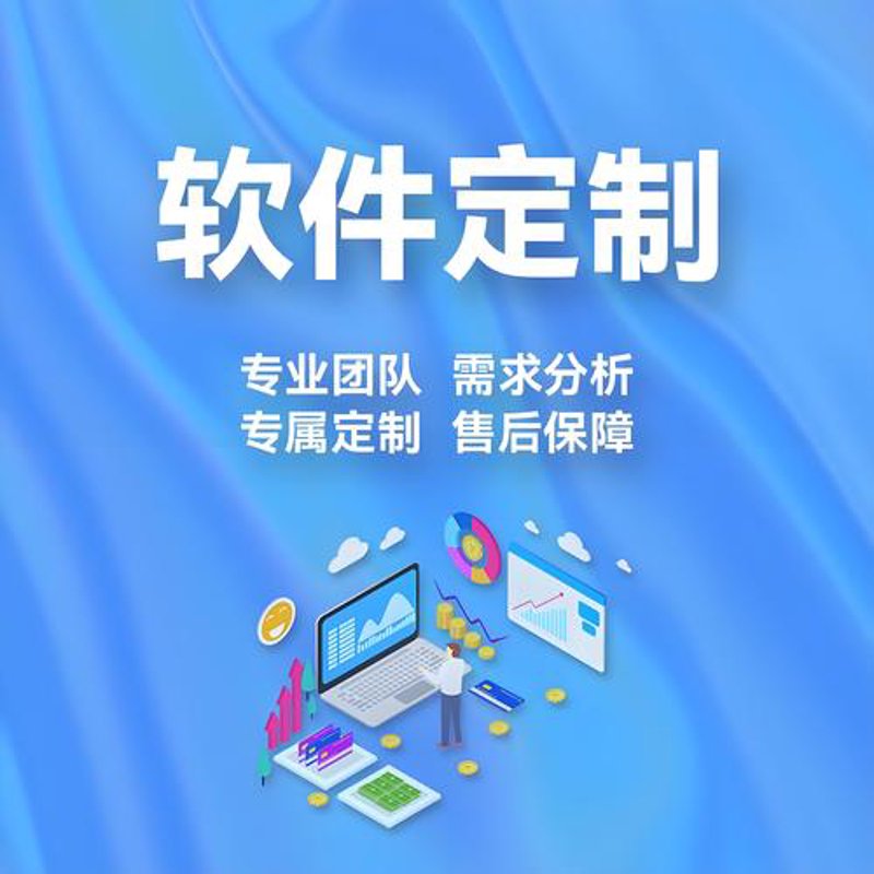 软件定制开发:企业成长的秘密武器